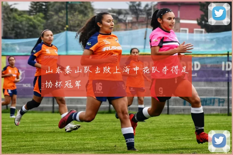 山东泰山队击败上海申花队夺得足协杯冠军