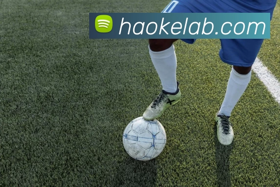 易倍emc(中国)官方网站 - 塑造体育新生态服务体系